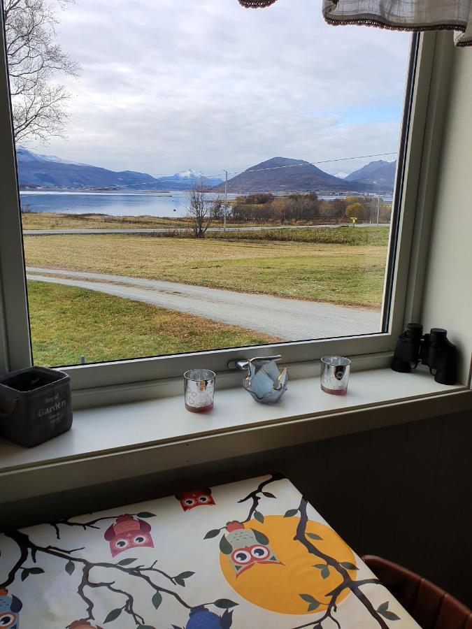 1 Room In The Yellow House, Close To Airport & Lofoten Evenskjer Kültér fotó