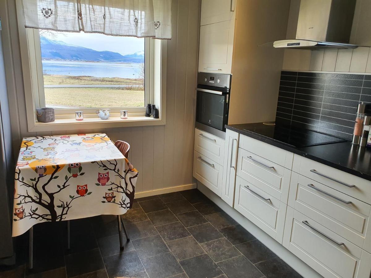 1 Room In The Yellow House, Close To Airport & Lofoten Evenskjer Kültér fotó