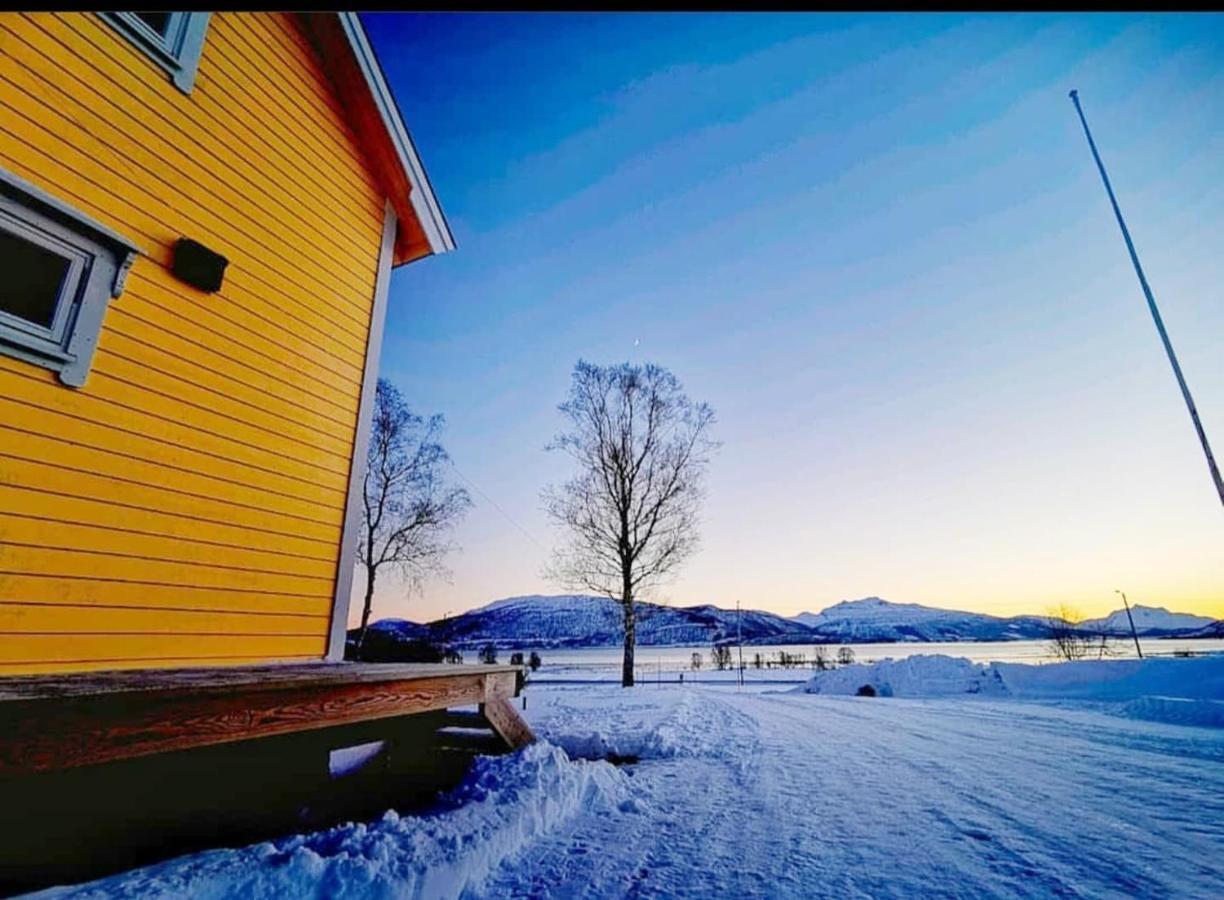 1 Room In The Yellow House, Close To Airport & Lofoten Evenskjer Kültér fotó